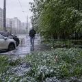 Москва заморозки