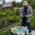 Рассада