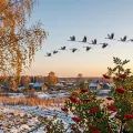 Осенний пейзаж