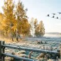 Осенний пейзаж