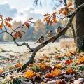Осенний пейзаж