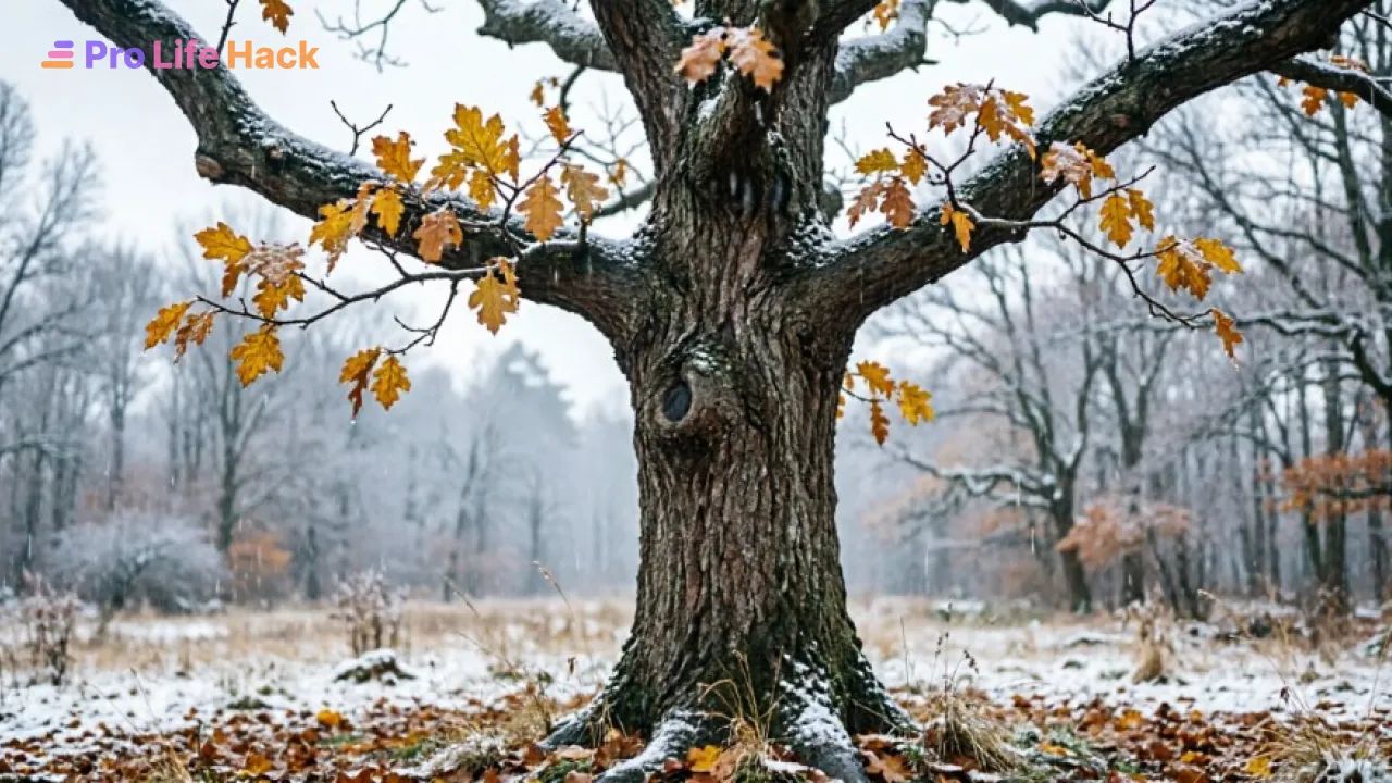 Осенний пейзаж